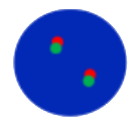 dots