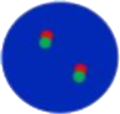 dots