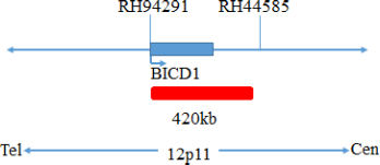 bitmap