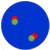 dots