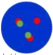 dots