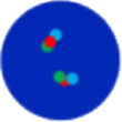 dots