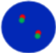 dots