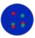 dots