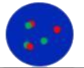 dots