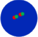 dots