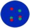 dots