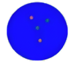 dots