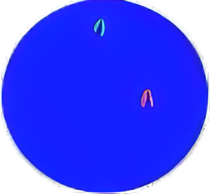 dots