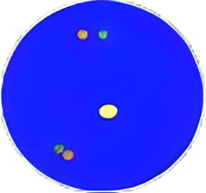 dots