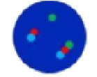 dots