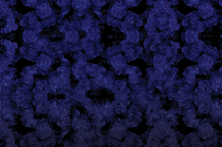 IHC Antigen Repair Buffer
