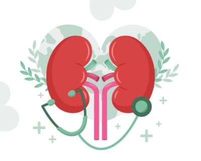 Antibodies Tissue For Kidney Cancer