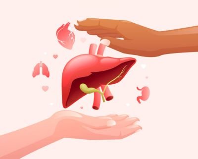 Antibody Tissue For Liver Cancer